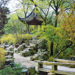 Jardin chinois Feng Shui